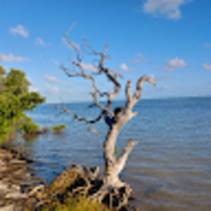 Meet your Posher, Jan